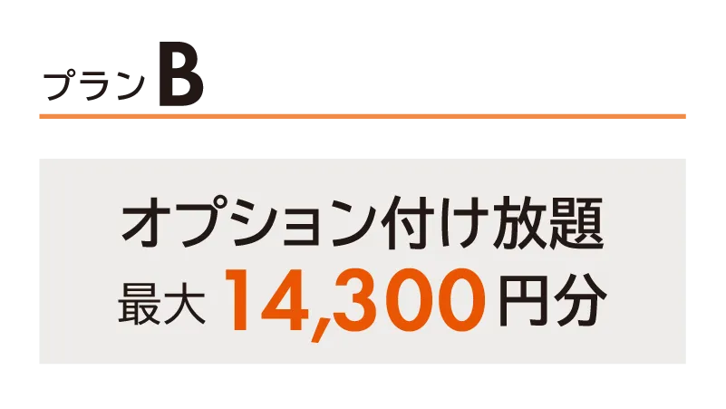 オプション付け放題 最大14,300円分